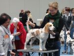 Austellung_Hannover 3.jpg